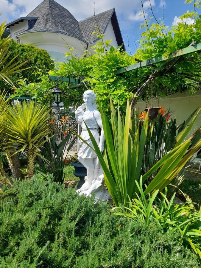 Villa La Parisienne Diano Borello 외부 사진